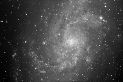 M33